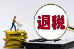 怎么申请退税?在税务局官网(15天左右返还款项)