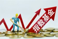 怎么定投指数基金?选择适合的平台(确定定投金额)