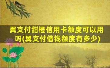 翼支付甜橙信用卡额度可以用吗(翼支付借钱额度有多少)