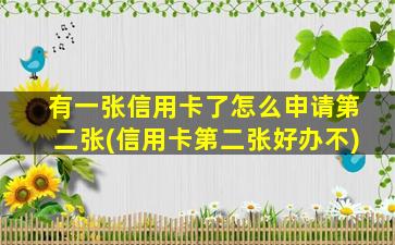 有一张信用卡了怎么申请第二张(信用卡第二张好办不)