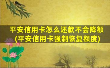 平安信用卡怎么还款不会降额(平安信用卡强制恢复额度)