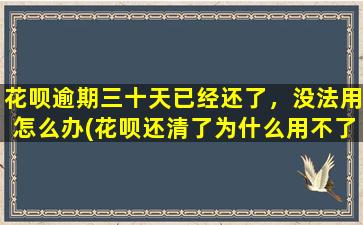 花呗逾期三十天已经还了，没法用怎么办(花呗还清了为什么用不了)