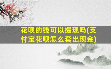 花呗的钱可以提现吗(支付宝花呗怎么套出现金)