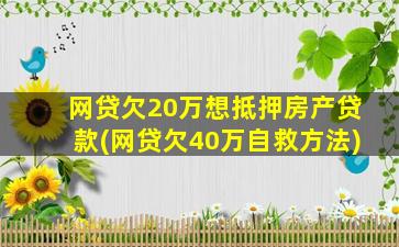 网贷欠20万想抵押房产贷款(网贷欠40万自救方法)