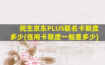 民生京东PLUS联名卡额度多少(信用卡额度一般是多少)