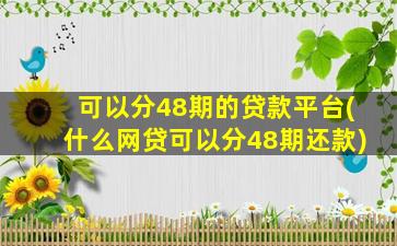 可以分48期的贷款平台(什么网贷可以分48期还款)