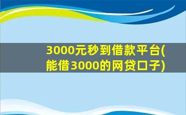 3000元秒到借款平台(能借3000的网贷口子)