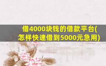 借4000块钱的借款平台(怎样快速借到5000元急用)