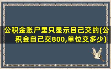 公积金账户里只显示自己交的(公积金自己交800,单位交多少)