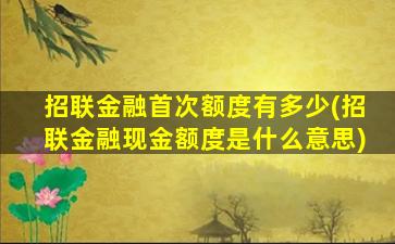 招联金融首次额度有多少(招联金融现金额度是什么意思)