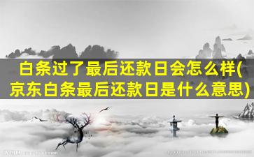 白条过了最后还款日会怎么样(京东白条最后还款日是什么意思)