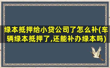 绿本抵押给小贷公司了怎么补(车辆绿本抵押了,还能补办绿本吗)