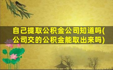 自己提取公积金公司知道吗(公司交的公积金能取出来吗)