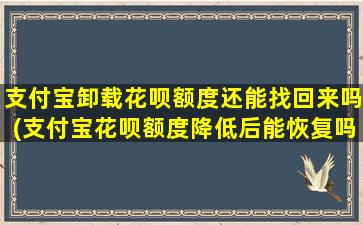 支付宝卸载花呗额度还能找回来吗(支付宝花呗额度降低后能恢复吗)