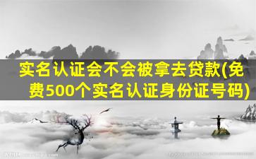 实名认证会不会被拿去贷款(免费500个实名认证身份证号码)