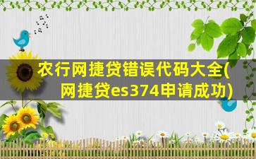 农行网捷贷错误代码大全(网捷贷es374申请成功)