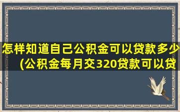 怎样知道自己公积金可以贷款多少(公积金每月交320贷款可以贷多少)