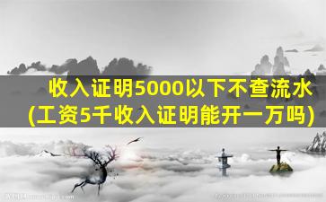 收入证明5000以下不查流水(工资5千收入证明能开一万吗)