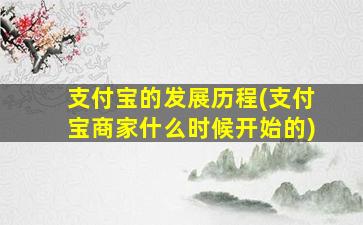 支付宝的发展历程(支付宝商家什么时候开始的)