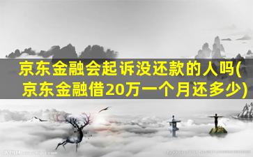 京东金融会起诉没还款的人吗(京东金融借20万一个月还多少)