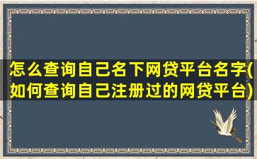 怎么查询自己名下网贷平台名字(如何查询自己注册过的网贷平台)