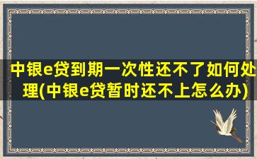 中银e贷到期一次性还不了如何处理(中银e贷暂时还不上怎么办)