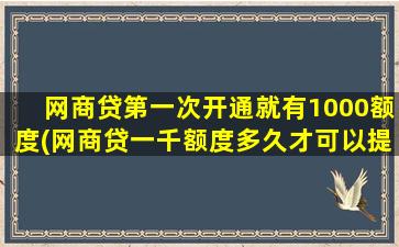 网商贷第一次开通就有1000额度(网商贷一千额度多久才可以提升额度)