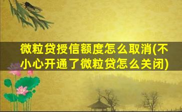 微粒贷授信额度怎么取消(不小心开通了微粒贷怎么关闭)