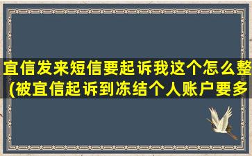 宜信发来短信要起诉我这个怎么整(被宜信起诉到冻结个人账户要多久)