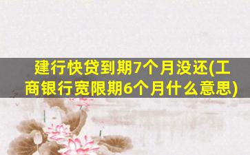 建行快贷到期7个月没还(工商银行宽限期6个月什么意思)