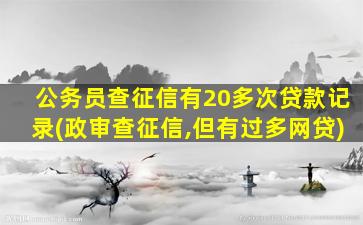 公务员查征信有20多次贷款记录(政审查征信,但有过多网贷)