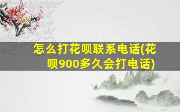 怎么打花呗联系电话(花呗900多久会打电话)