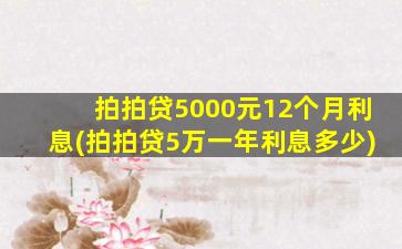 拍拍贷5000元12个月利息(拍拍贷5万一年利息多少)