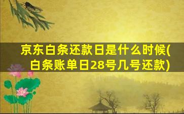 京东白条还款日是什么时候(白条账单日28号几号还款)