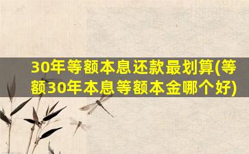 30年等额本息还款最划算(等额30年本息等额本金哪个好)