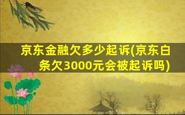 京东金融欠多少起诉(京东白条欠3000元会被起诉吗)