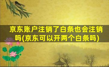 京东账户注销了白条也会注销吗(京东可以开两个白条吗)