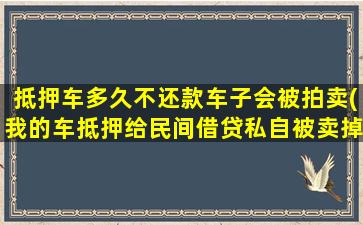 抵押车多久不还款车子会被拍卖(我的车抵押给民间借贷私自被卖掉)