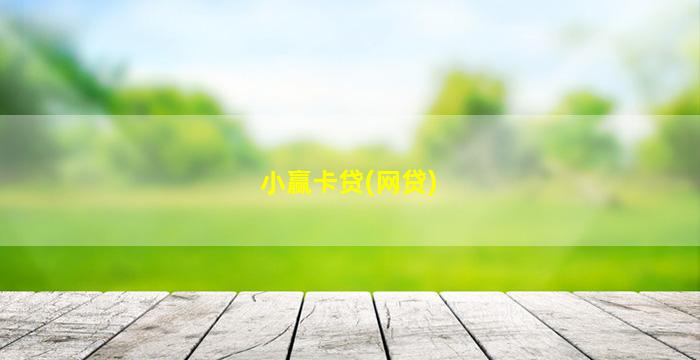 小赢卡贷(网贷)