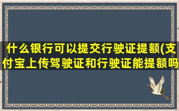 什么银行可以提交行驶证提额(支付宝上传驾驶证和行驶证能提额吗)