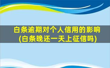 白条逾期对个人信用的影响(白条晚还一天上征信吗)