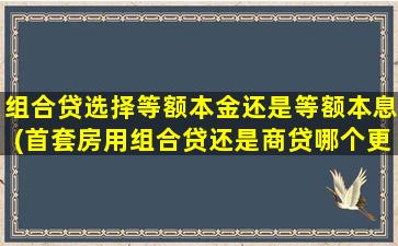 组合贷选择等额本金还是等额本息(首套房用组合贷还是商贷哪个更好)