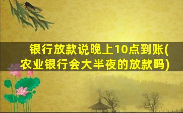 银行放款说晚上10点到账(农业银行会大半夜的放款吗)