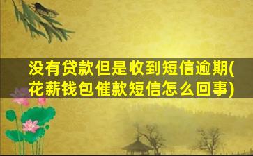 没有贷款但是收到短信逾期(花薪钱包催款短信怎么回事)