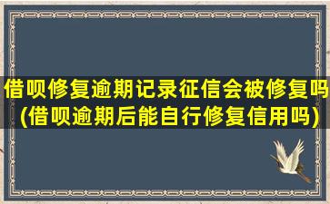 借呗修复逾期记录征信会被修复吗(借呗逾期后能自行修复信用吗)