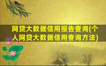 网贷大数据信用报告查询(个人网贷大数据信用查询方法)