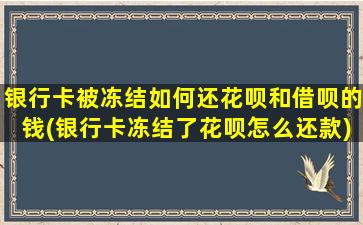 银行卡被冻结如何还花呗和借呗的钱(银行卡冻结了花呗怎么还款)