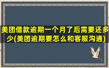 美团借款逾期一个月了后需要还多少(美团逾期要怎么和客服沟通)