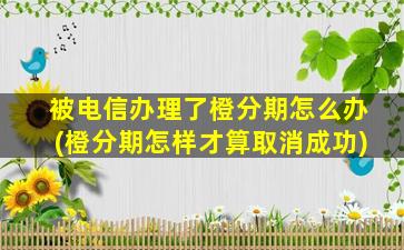 被电信办理了橙分期怎么办(橙分期怎样才算取消成功)