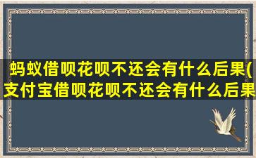 蚂蚁借呗花呗不还会有什么后果(支付宝借呗花呗不还会有什么后果)